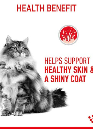 Royal Canin Hair&Skin Care karma sucha dla kotów dorosłych, lśniąca sierść i zdrowa skóra 2kg