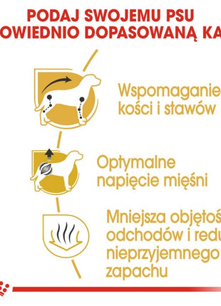 Royal Canin Dachshund Adult karma sucha dla psów dorosłych rasy jamnik 1,5kg