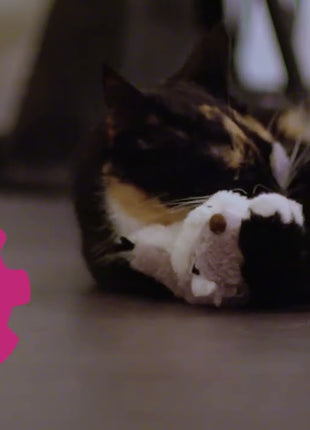 Robocat Kikker